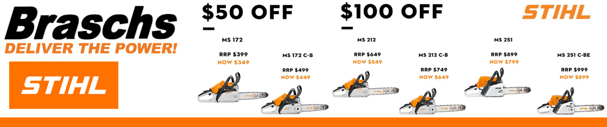 Braschs Summer specials