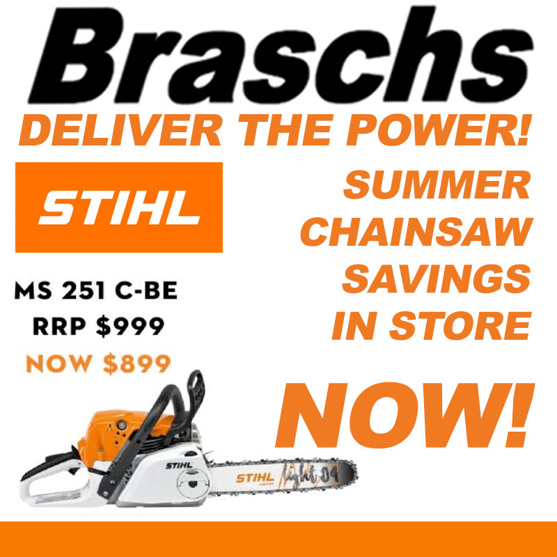 Braschs Summer specials