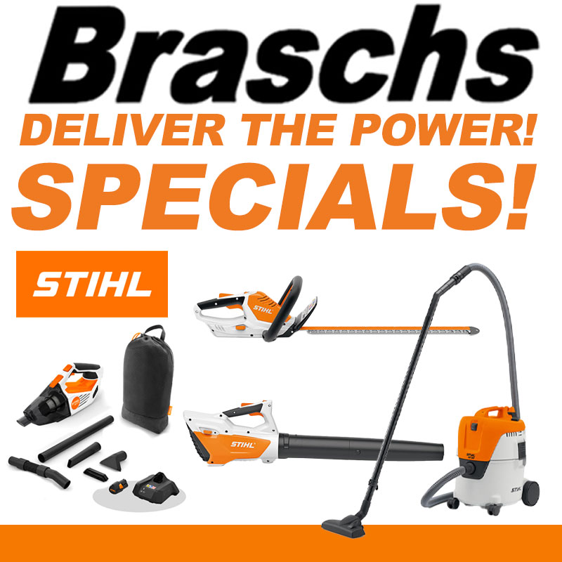 Braschs Summer specials