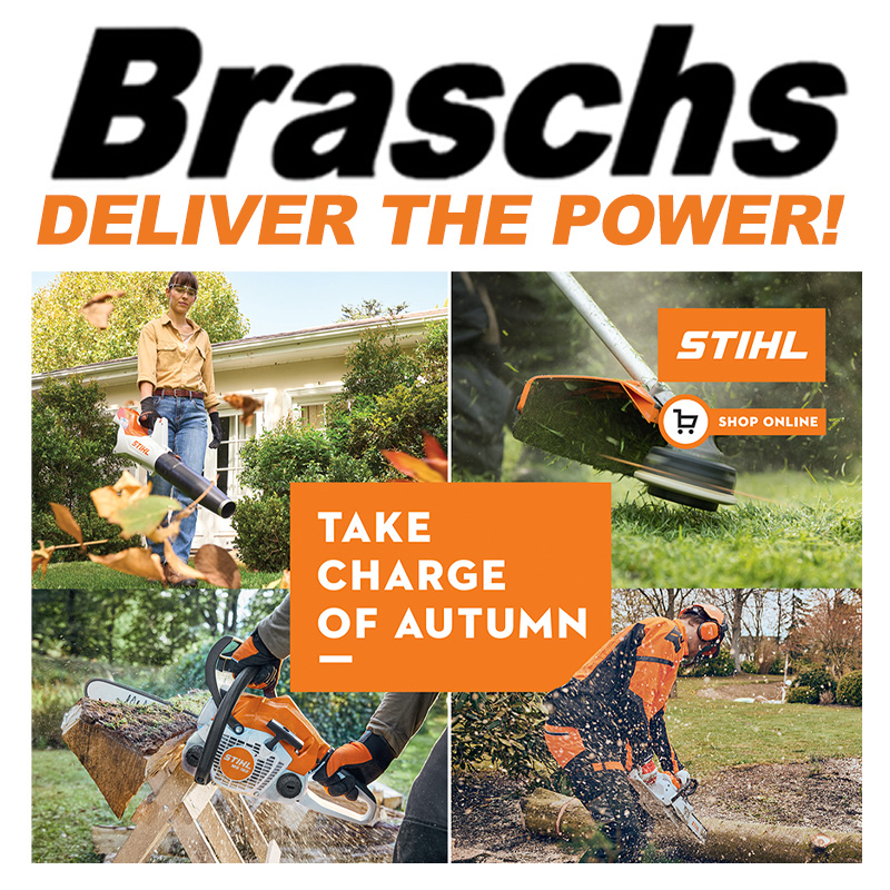 Stihl Autumn specials