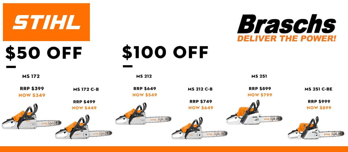 Braschs Summer specials