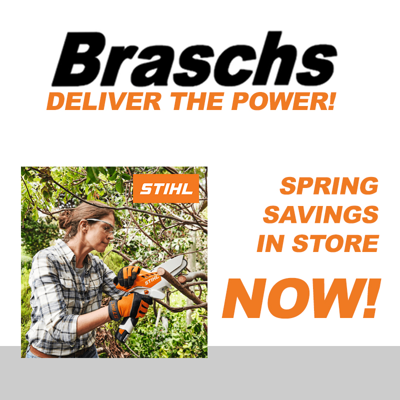 Braschs Spring specials