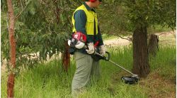 Honda commercial 35cc loop handle brushcutter