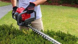 Hedge trimmer