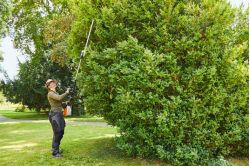 Stihl HLA 135 battery Long Reach Hedge Trimmer