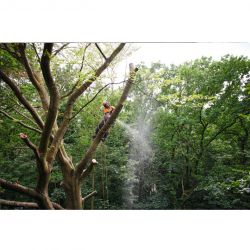 working in tree tops with a NSA 220 T