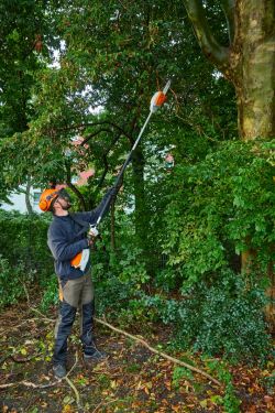 at work Stihl HTA 66 Battery Pole Pruner