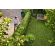 The STIHL HSA 40 is designed for effortless hedge sculpting and garden care, its lightweight construction and whisper-quiet operation redefine your trimming experience.